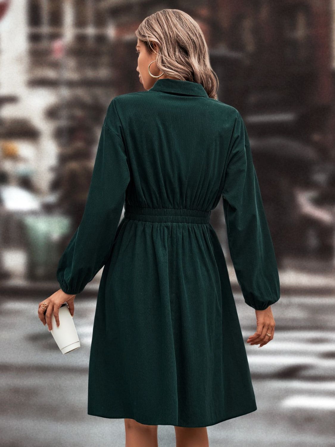 Smocked Johnny Collar Long Sleeve Dress